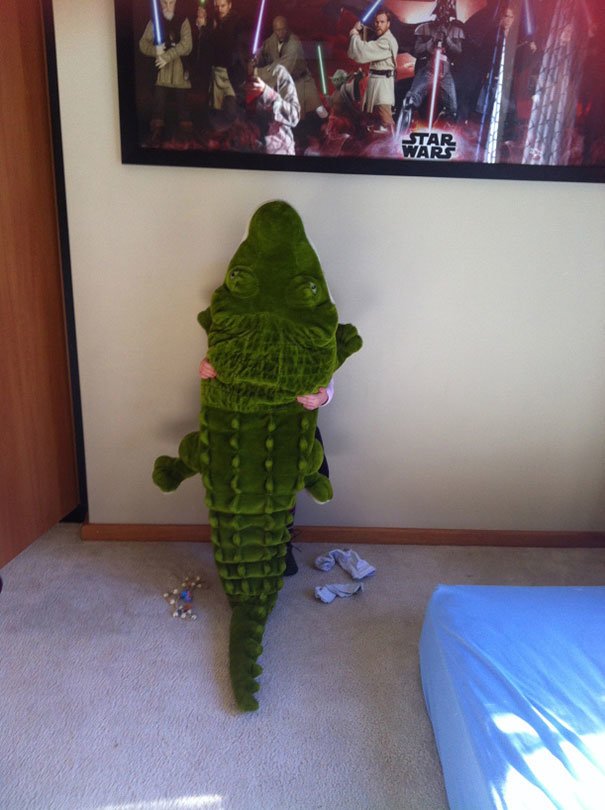 Un crocodile qui grimpe au mur du salon, c’était bien tenté
