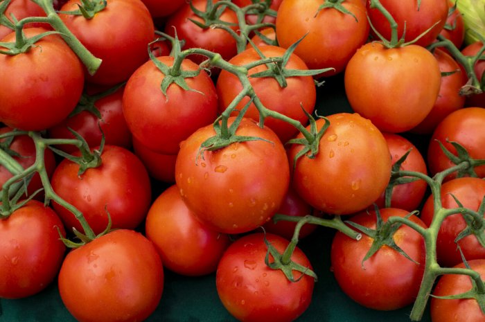 Tomates rondes grappe BIO 500 grammes 