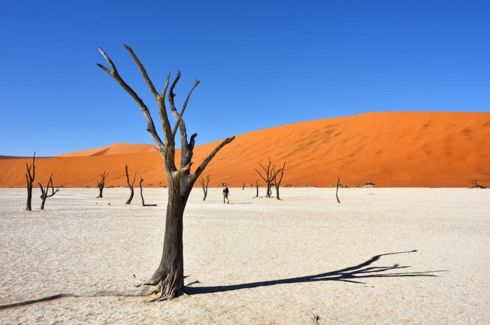 La DeadVleï (Namibie)