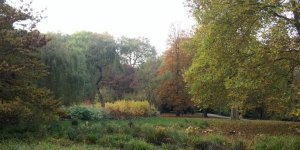 Essonne : un homme arrêté pour s'être bronzé nu dans un parc 
