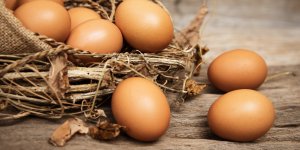 Rappel d'œufs : un arrêté recommande de ne pas en manger 