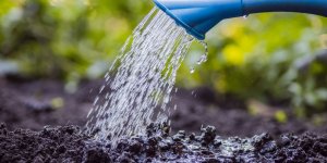 Restrictions d'eau : les 18 départements où vous risquez une amende ce week-end