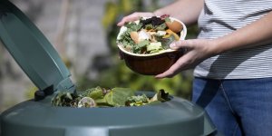 Les 9 aliments à ne jamais mettre au compost