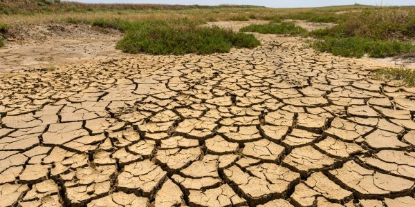 Plus d'eau ni de nourriture : le scénario catastrophe pour les 30 prochaines années