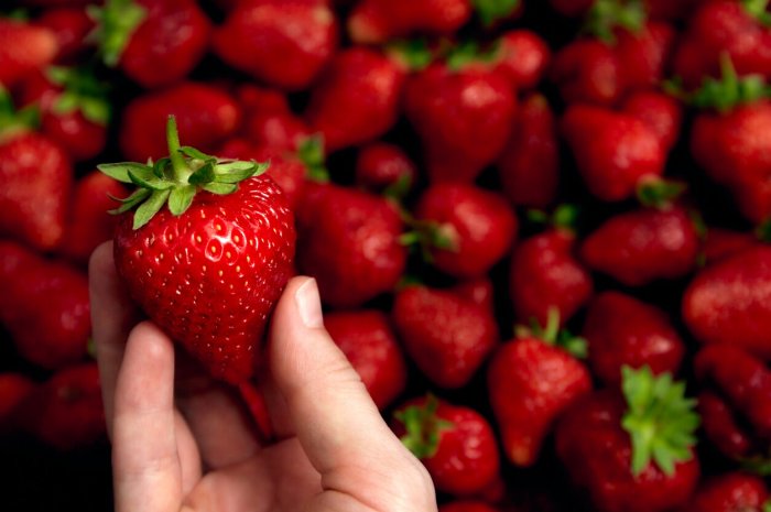 2. Fuyez les fraises trop grosses