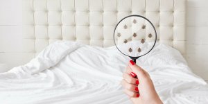 Ces 6 odeurs qui font fuir les punaises de lit