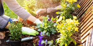 Jardin : voici 7 astuces pour jardiner sans se ruiner 