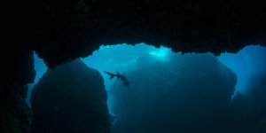 7 histoires effrayantes sur la mer et ses profondeurs