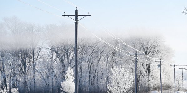 Arrivée de la neige : qui peut craindre des coupures d'électricité ? 