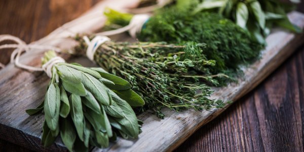 Santé, beauté, maison : 11 usages insolites pour vos herbes aromatiques
