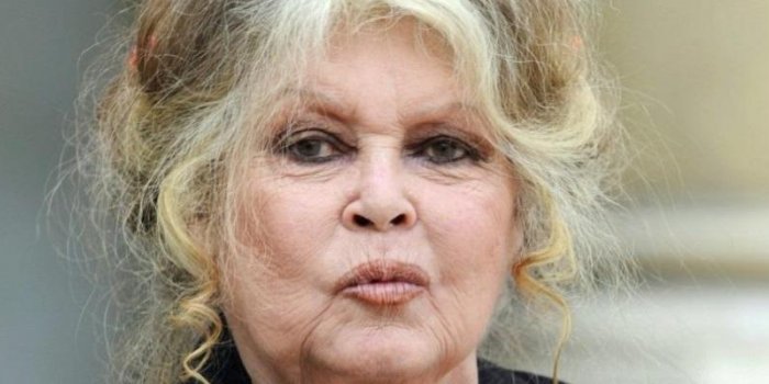 "Une bonne jaunisse" : Brigitte Bardot s’en prend violemment à Emmanuel Macron